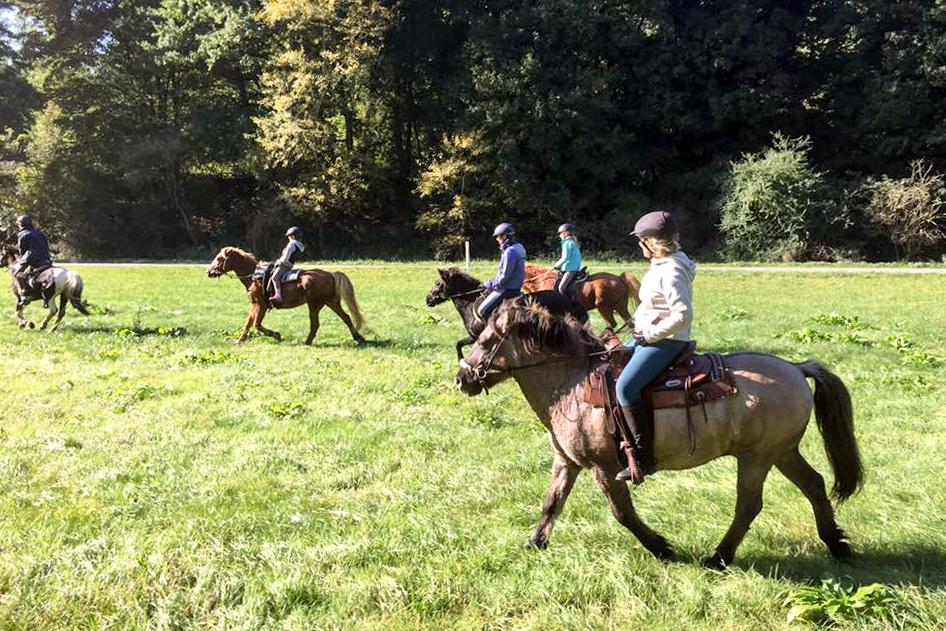 Tagestouren